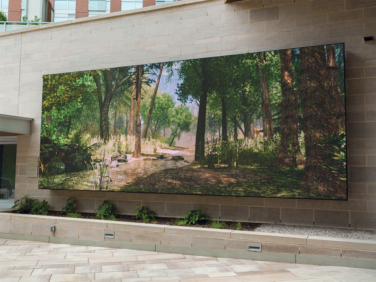 Video: Daniels HighPark Condominiums Art Installation